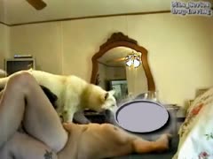 Kinky couple have threesome with dog xxx